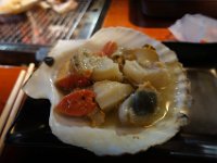 img (43)